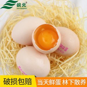 【散养新鲜土鸡蛋价格】最新散养新鲜土鸡蛋价格/批发报价